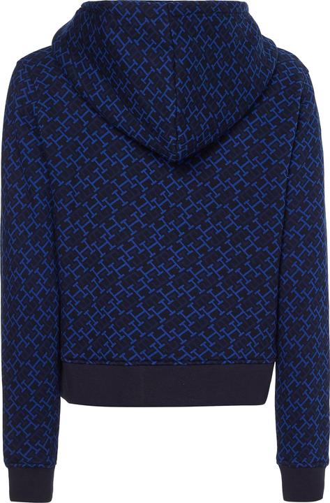 Image du produit Tommy Hilfiger Sweat-shirt isolé pour femme avec capuche (XS)