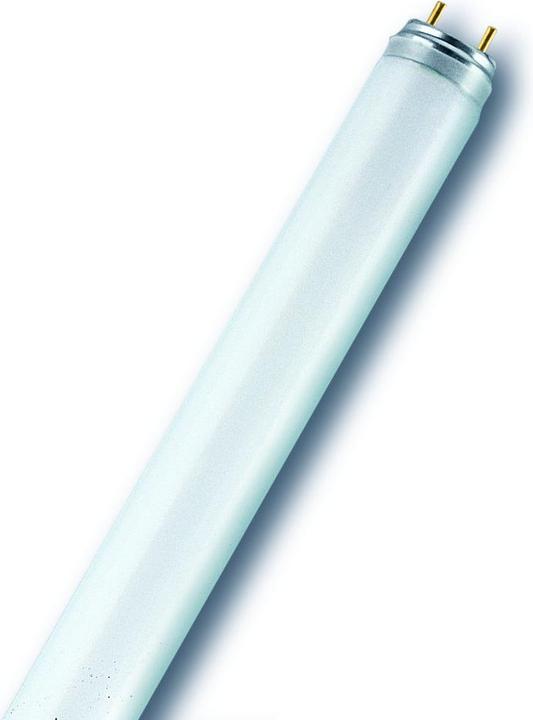 Immagine prodotto Osram Lampada fluorescente Tubolare bianco caldo (G13, 58 W, 5200 lm, 25 x, A)