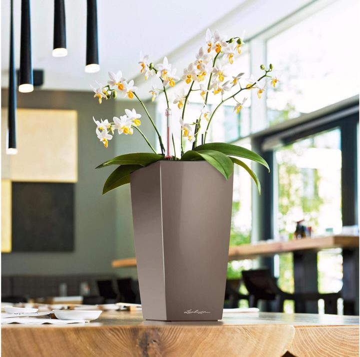 Actual product image Lechuza Planter Maxi cubi Red (14 cm)