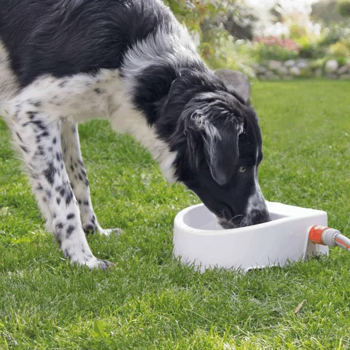 Actual product image Trixie Automatic outdoor dog bowls (1.50 l)
