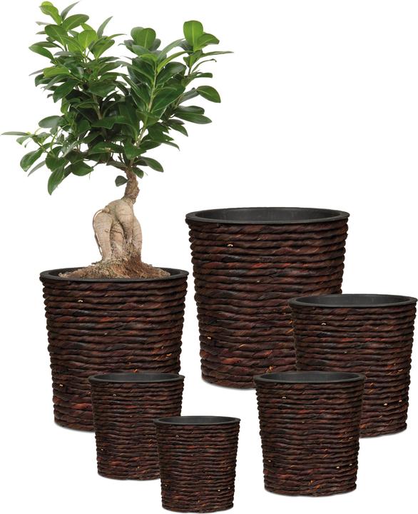 Image du produit Scheurich Jacinthe d'eau 34, jardinière en osier/potager en osier/potager en osier en jacinthe d'eau Couleur (34 cm)