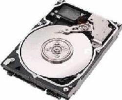 Actual product image IBM 146GB HS U320 10K SCSI (0.15 TB)
