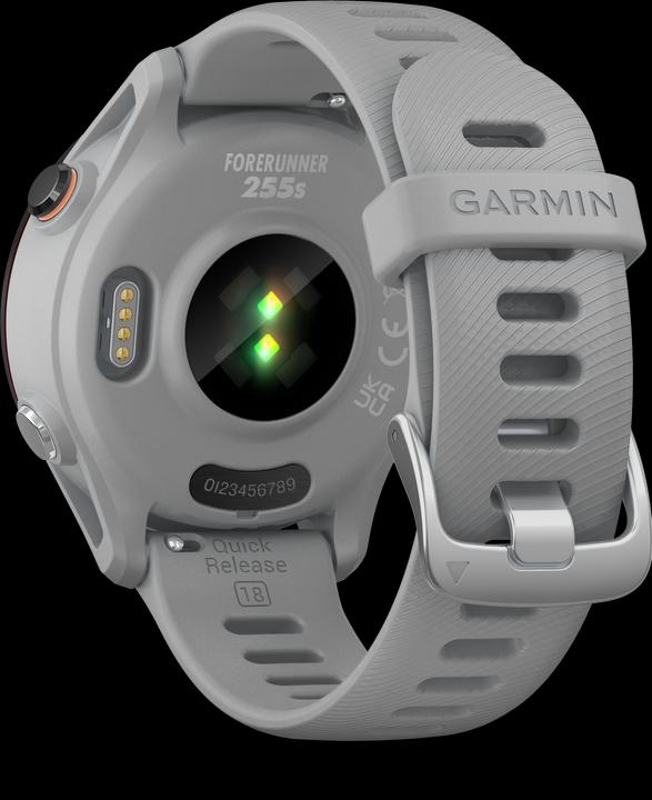 Image du produit Garmin Forerunner 255S (41 mm)