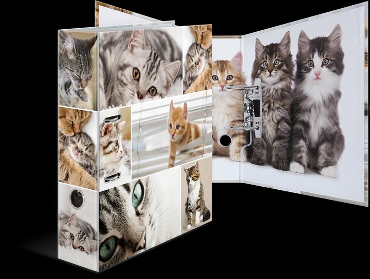 Actual product image HERMA A4 folder motif (A4, 70 mm, 1 Piece)
