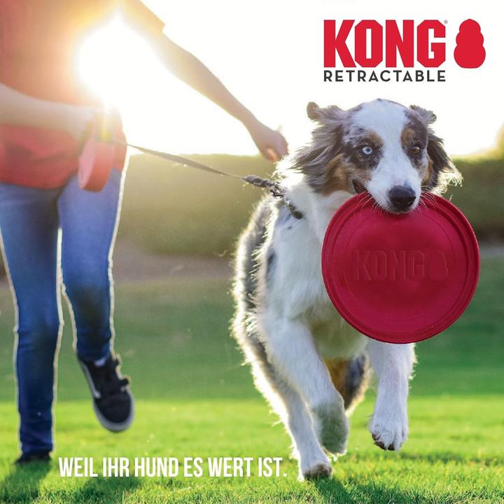 Actual product image KONG Rolling line Terrain (S, Dog)