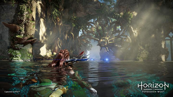 Immagine prodotto Sony Horizon: Forbidden West Standard Multilingua PlayStation 4 (PS4, FR)