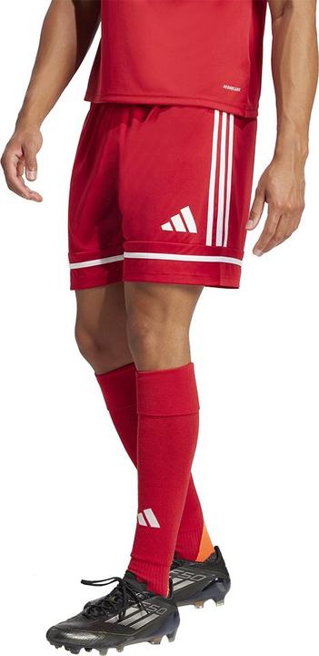 Actual product image adidas Squadra 25 Short (S)