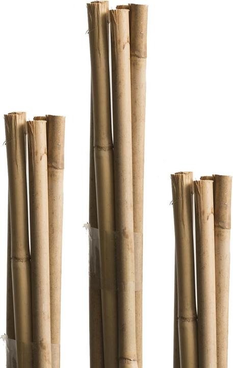 Immagine prodotto Windhager Tonchino e cippato (120 cm, 1 cm)