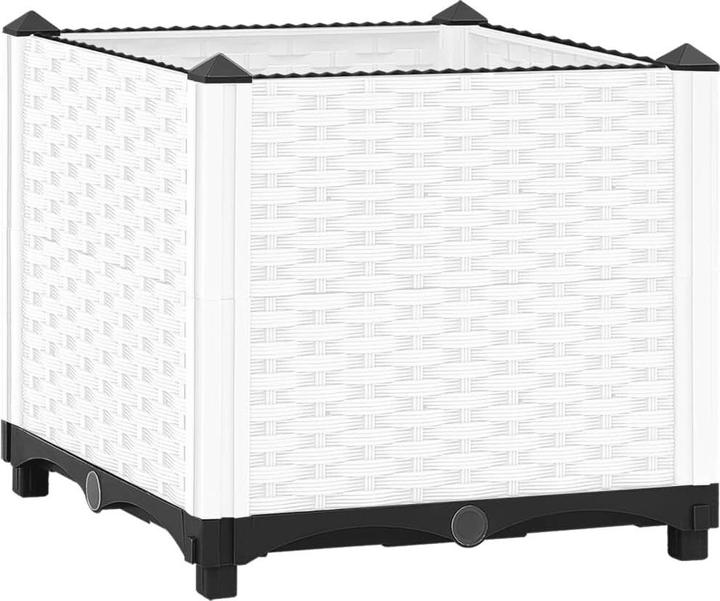 Bianco