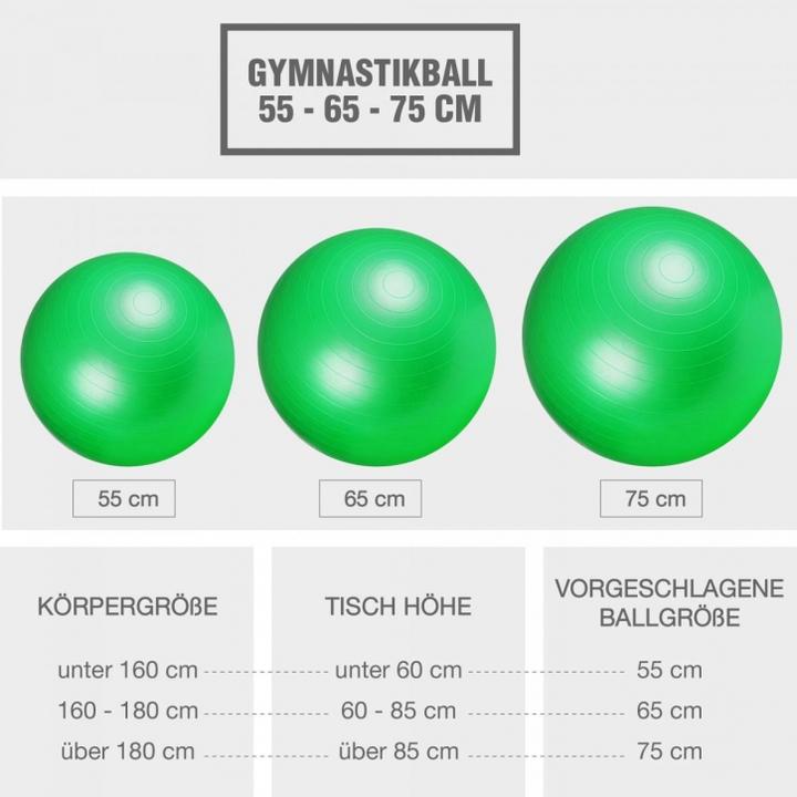 Image du produit Gorilla Sports Ballon d'exercice (65 cm)
