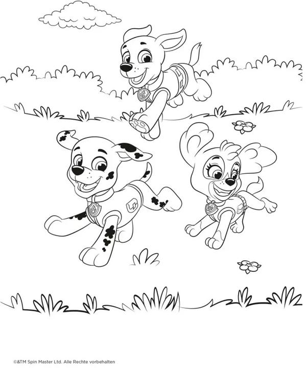 Image du produit Paw Patrol