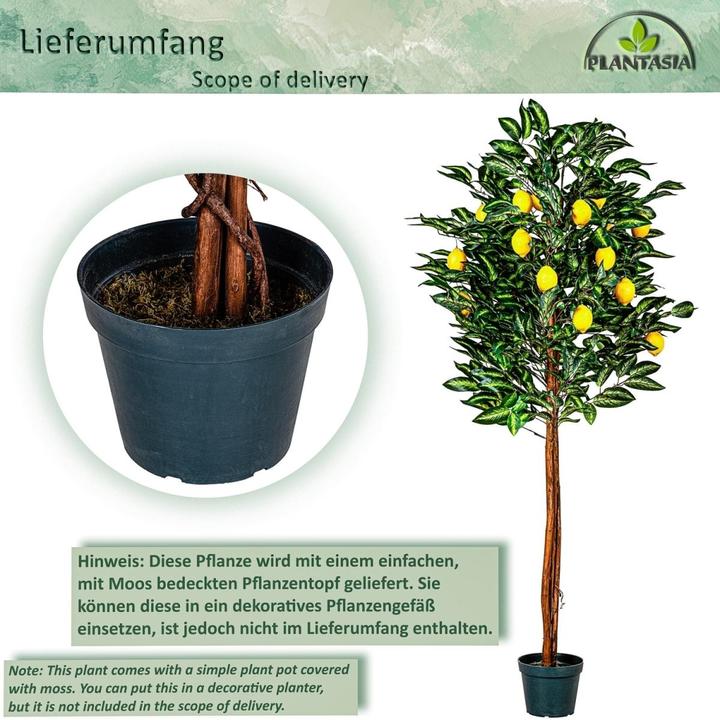 Produktbild Plantasia Kunstpflanze Zitronenbaum 180cm (180 cm)