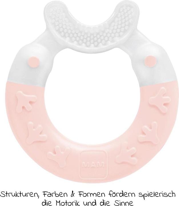 Produktbild MAM Beissringe & Zahnungshilfen Beissring Bite & Brush - Rosa