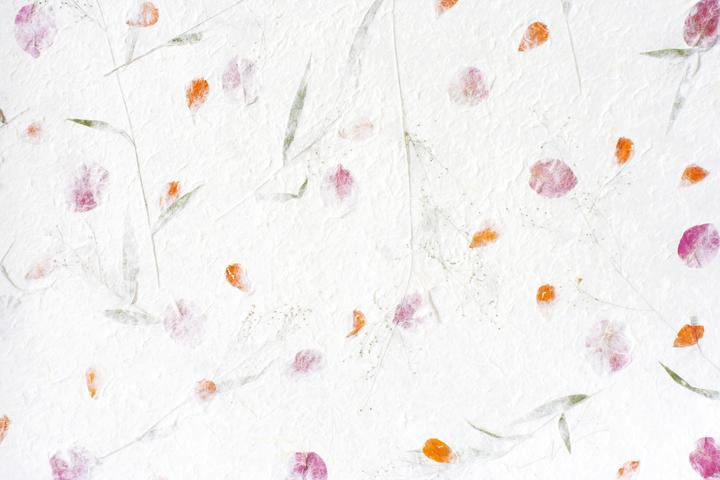 Immagine prodotto Cellulosa di cotone, superfine, bianca, 500 g