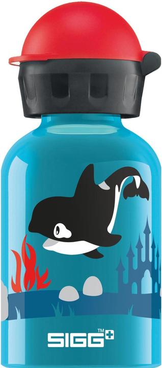 Sigg Kbt (0.30 l)