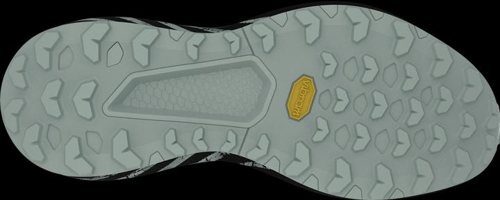 Image du produit Dynafit Women's Trail Graphic (40.5)