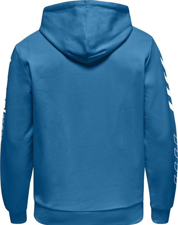 Actual product image hummel Lgc Birk Hoodie (XS)