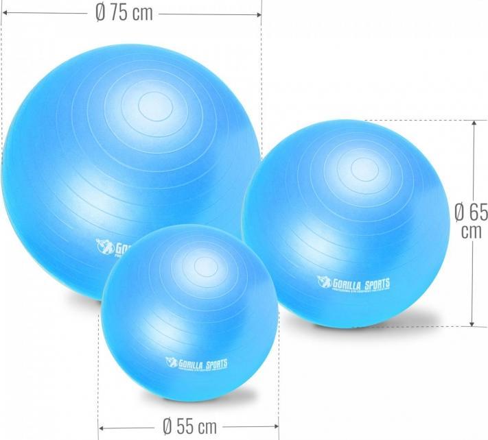 Immagine prodotto Gorilla Sports Palla da ginnastica (65 cm)