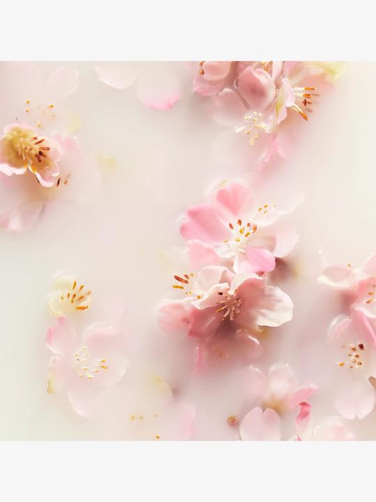 Actual product image Rituals The Ritual of Sakura (70 ml)