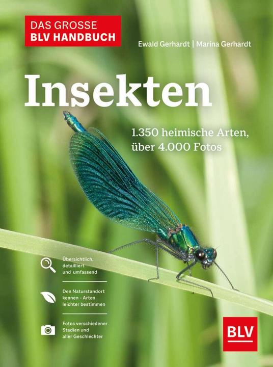 Produktbild Das grosse Handbuch Insekten (Deutsch, Ewald Gerhardt, 2021)