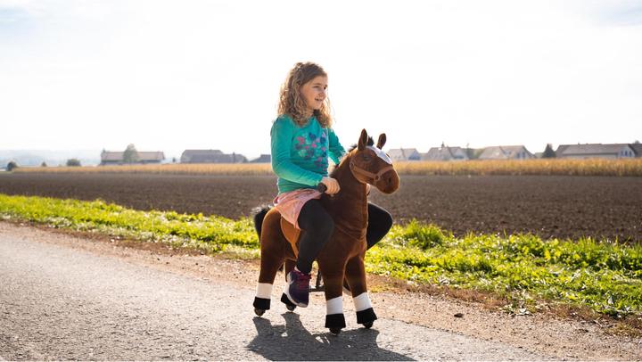 Produktbild Zoosy Reittier Pferd Gr. M