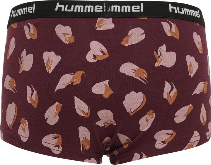 Immagine prodotto hummel Hmlcarolina Hipsters 2-Pack (10, 11, 12, 13, 14, 15, 16, Confezione da 2)