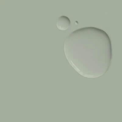 Actual product image Annie Sloan Chalk paint Coolabah Green Litre (Pastel colours, 1000 ml)