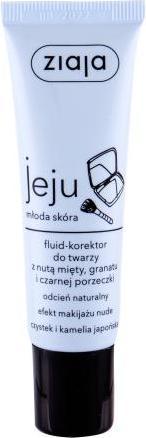 Immagine prodotto Ziaja Correttore fluido Jeju - Correttore naturale (Natural)