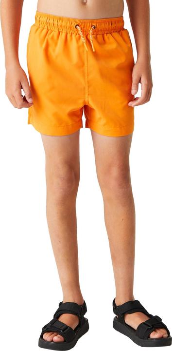 Produktbild Regatta Skander III Kurze Hose (164)