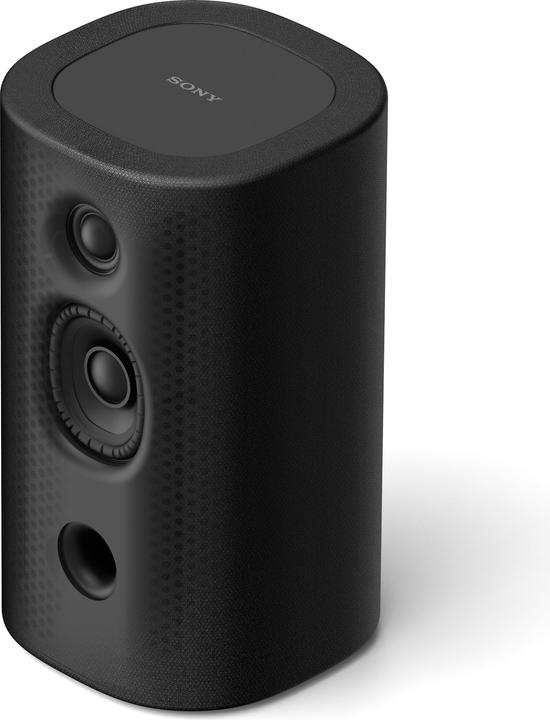 Immagine prodotto Sony SA-RS8 (1 coppia, 100 W)