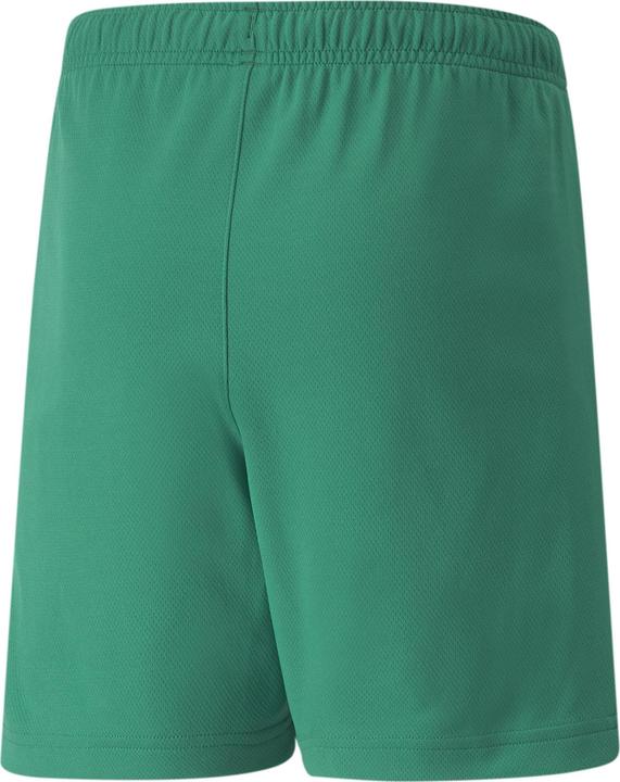 Actual product image Puma teamRISE Short Jr-704943 (176)