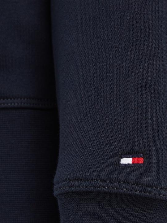 Actual product image Tommy Hilfiger MODERN VARSITY HOODY, blue(dwblue (5)), size L (L)