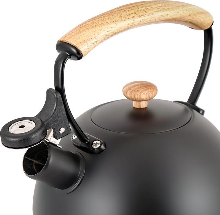 Promis Acciaio TMC-15B - CLARA (2.50 l, Spina UE)