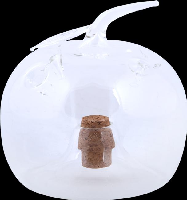 Image du produit Esschert Design Piège à mouches à fruits Pomme