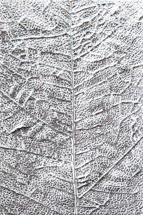 Image du produit Sizzix Impressions structurées en 3-D Dossier de gaufrage Veines de feuille