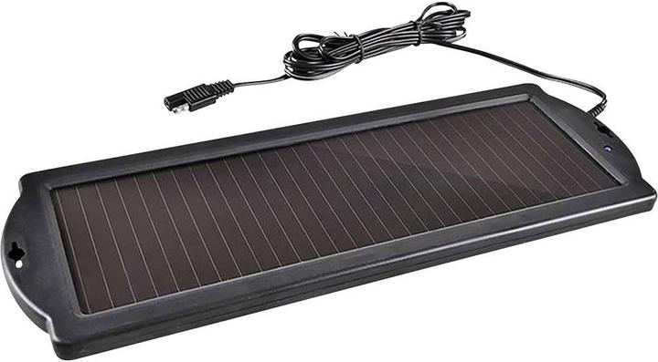 Actual product image ProPlus Trickle charger