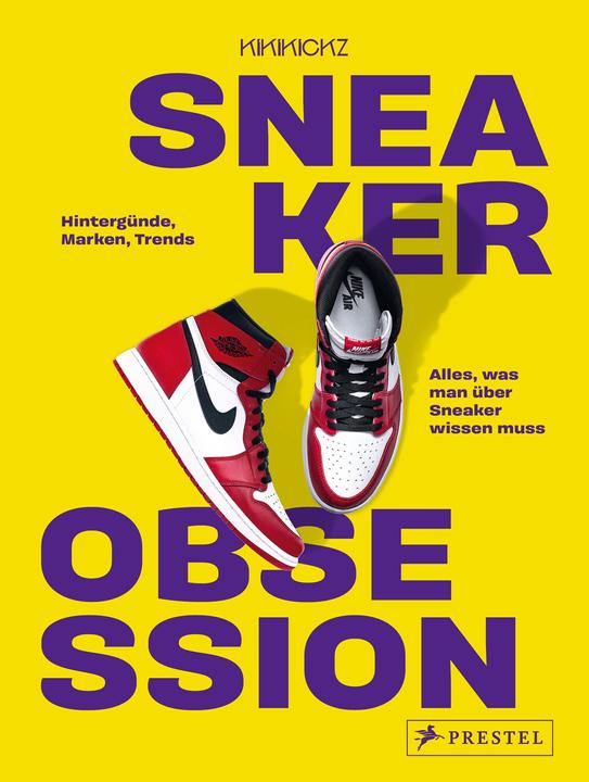 Sneaker Obsession (24)