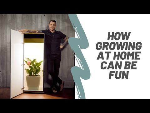 Immagine prodotto Growfor.life Armadio per piante