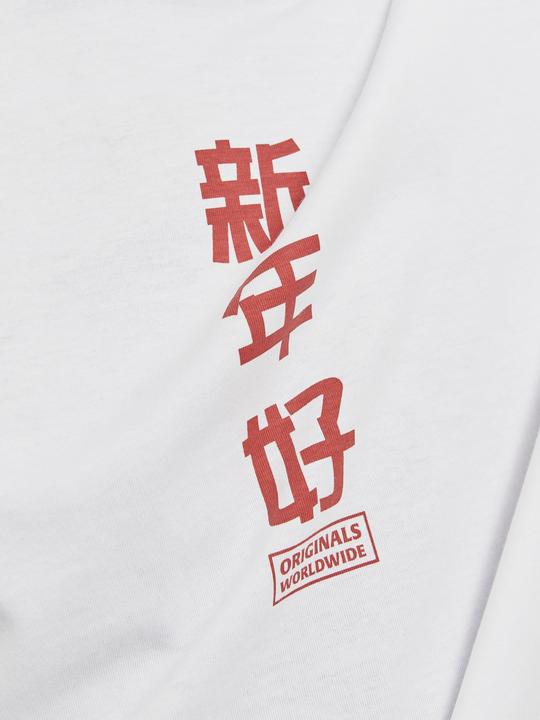 Actual product image Jack & Jones Jorsnake Tee Ss Crew Neck Tg Ln (XXL)