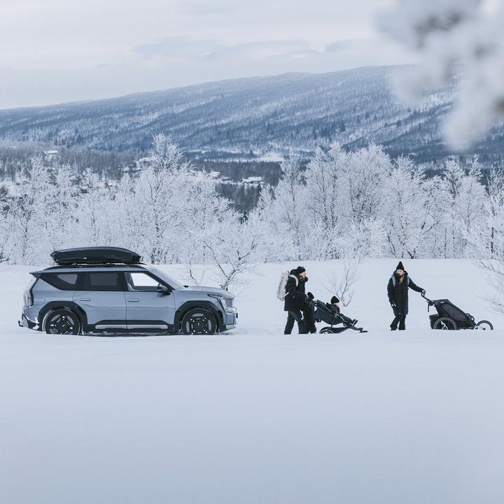 Actual product image Thule Motion 3 L (450 l)