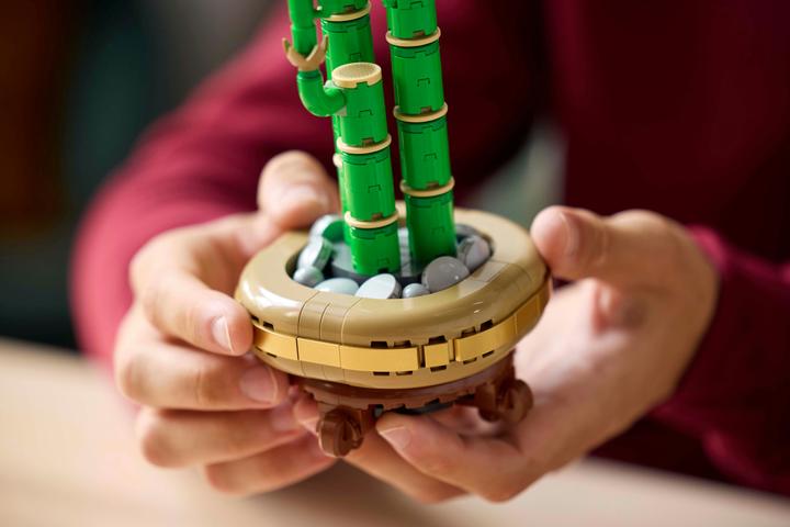 Produktbild LEGO Glücks-Bambus (10344, LEGO Icons)