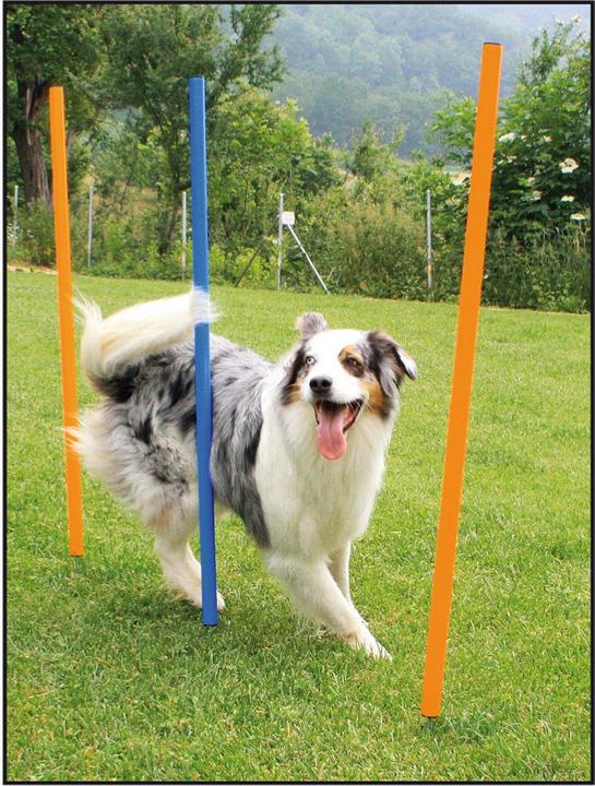 Produktbild Swisspet Agility Slalom Set inkl. 12 Stäbe à 100cm (One Size, Agility)