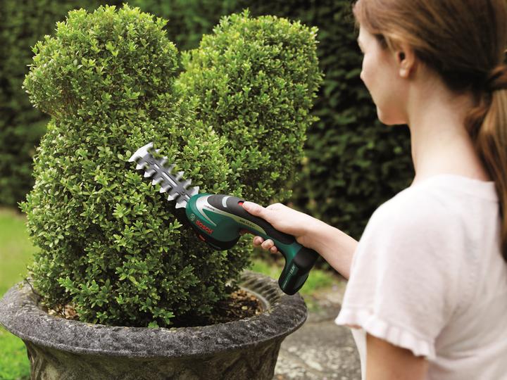 Produktbild Bosch Home & Garden ASB 10.8 LI Set (Akkuheckenschere)