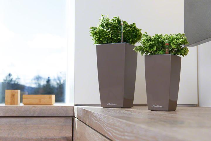 Actual product image Lechuza Mini Cubi (9.50 cm)