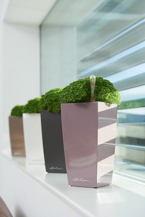 Actual product image Lechuza Mini Cubi (9.50 cm)