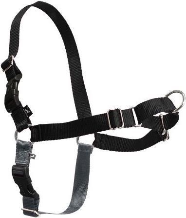 Produktbild PetSafe Easy Walk (M, Hund, Spazieren)