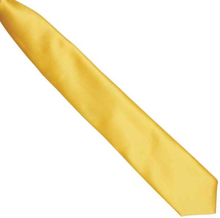 Image du produit Premier Cravate en satin à clipser