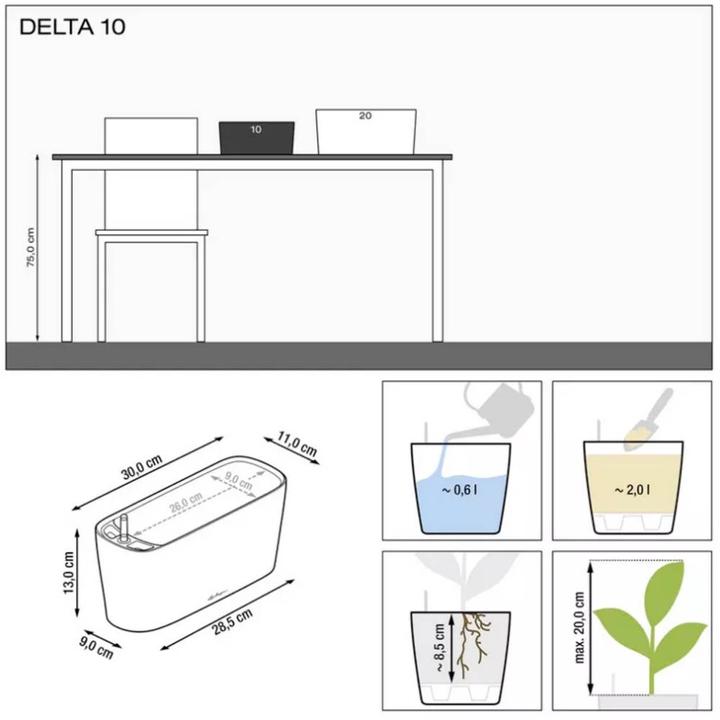 Actual product image Lechuza Delta (11 cm)
