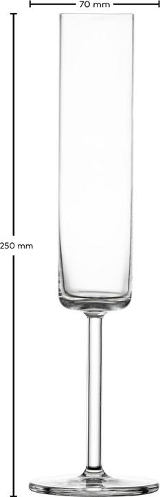 Actual product image Schott Zwiesel Modo 7 champagne glass 4 pieces (16.30 cl, 4 Glasses, Champagne glasses)