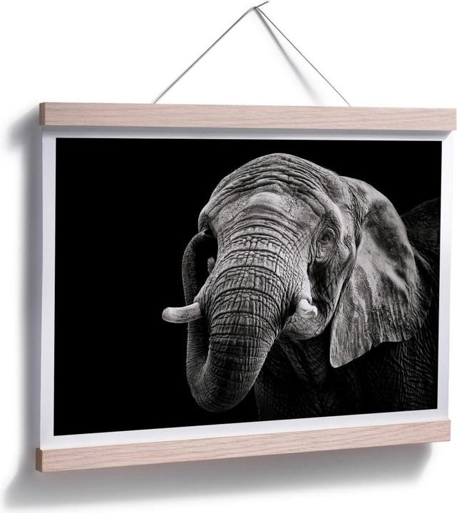 Immagine prodotto Trenddeko L'elefante (50 x 40 cm)